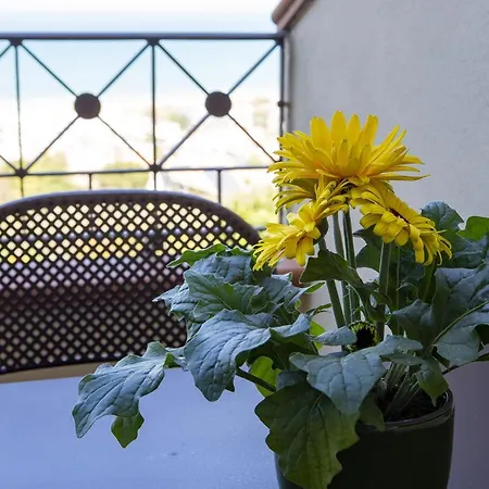 Apartament Giuvra Panoramic House *